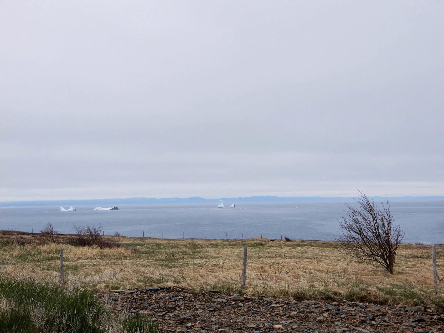 Northern Bay, Fabian Hogan - Jelly Bean Shore Vacation Rental View